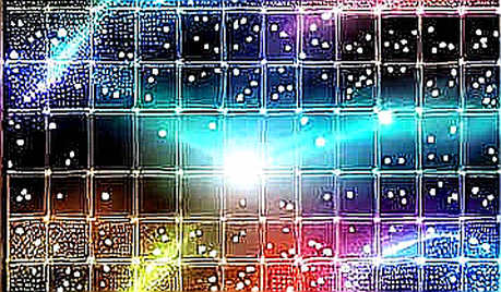 SpaceX giảm giá và thị trường crypto: Mối liên hệ ảo hay tín hiệu tâm lý? SpaceX giảm giá và thị trường crypto: Mối liên hệ ảo hay tín hiệu tâm lý?